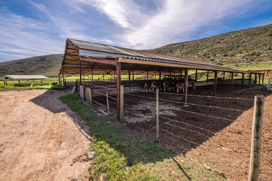 Commercial Property for Sale in Caledon Rural Western Cape